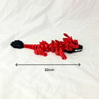 Schuin bovenaanzicht van het buigzame lichaam van de rode bloodfang baby draak met zwarte snuit en staart.