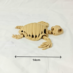 Overzicht van de buigzame beige skelet schildpad met maataanduidingen in centimeters.