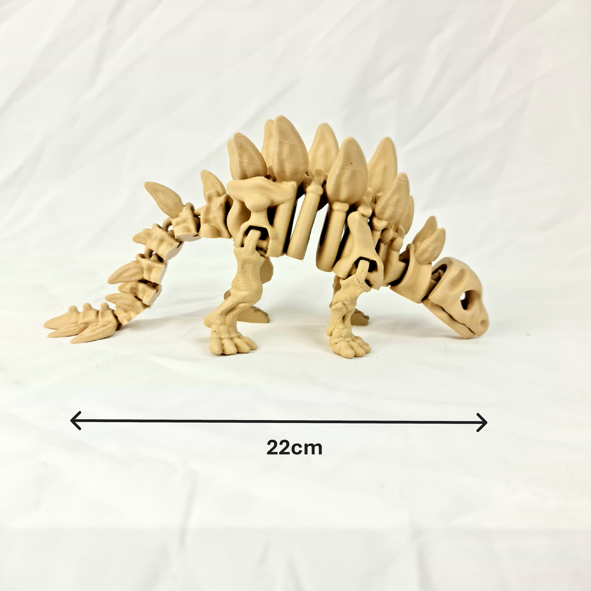 Zijaanzicht van de flexibele beige skelet stegosaurus met maataanduidingen in centimeters.