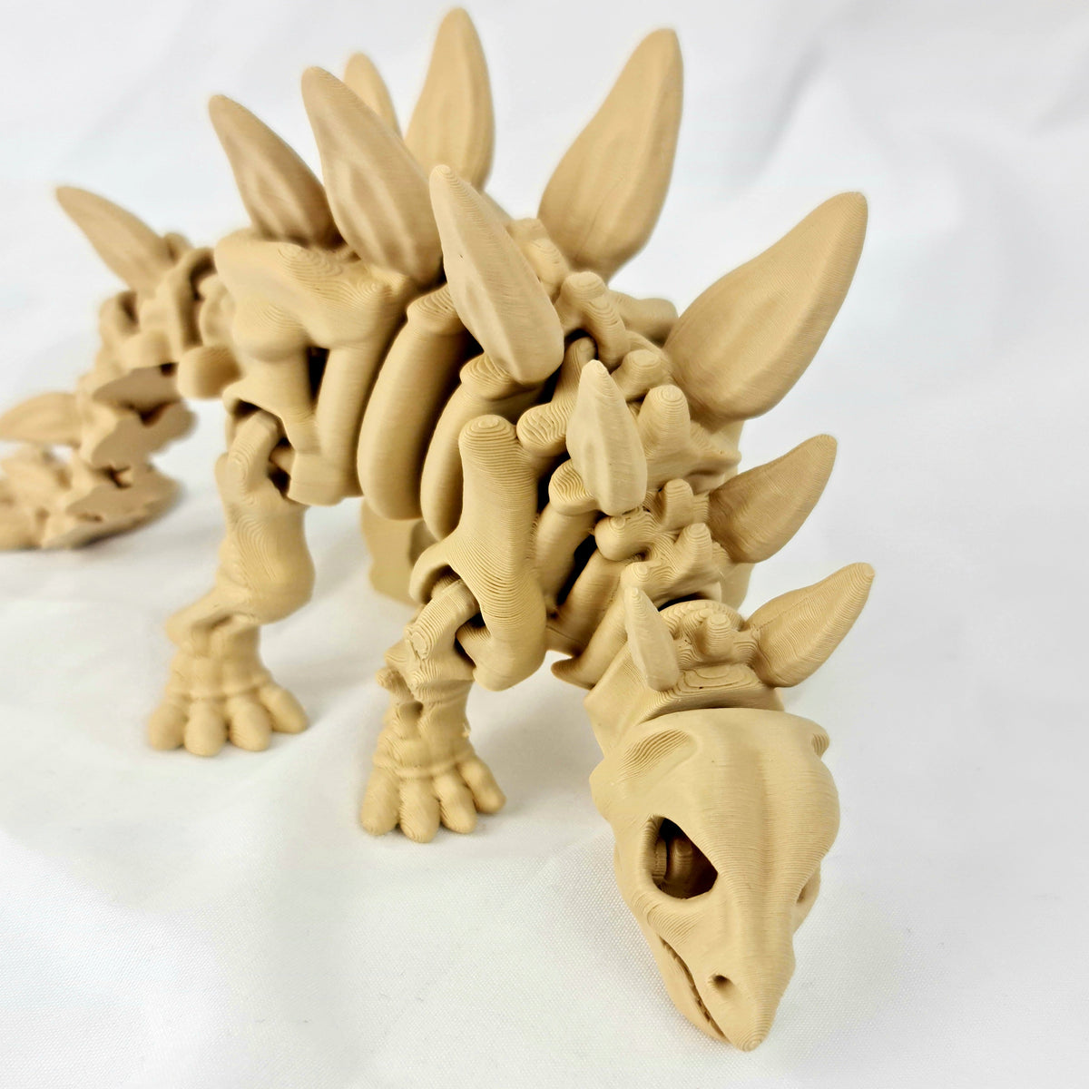 Schuin bovenaanzicht van de skelet stegosaurus met duidelijk zicht op de dubbele rij rugplaten.