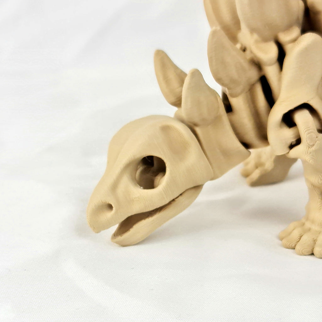 Close-up van de gedetailleerde schedel en neus van de beige 3D-geprinte skelet stegosaurus.