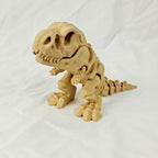 Driekwart vooraanzicht van de beige skelet T-Rex met focus op de borstkas en korte armpjes.