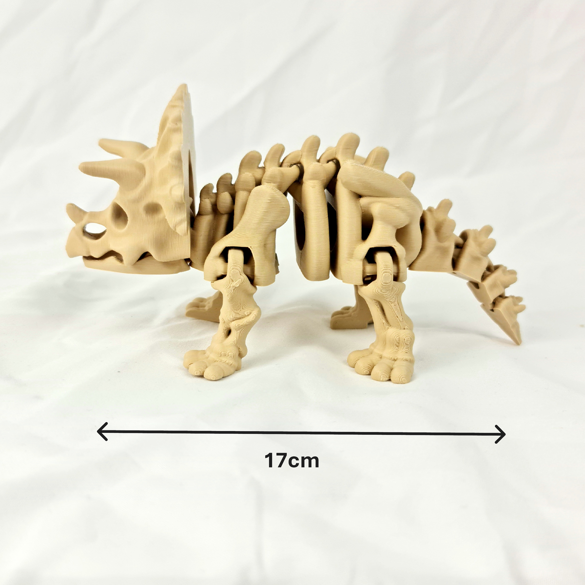 Zijaanzicht van de flexibele beige skelet triceratops met maataanduidingen in centimeters.