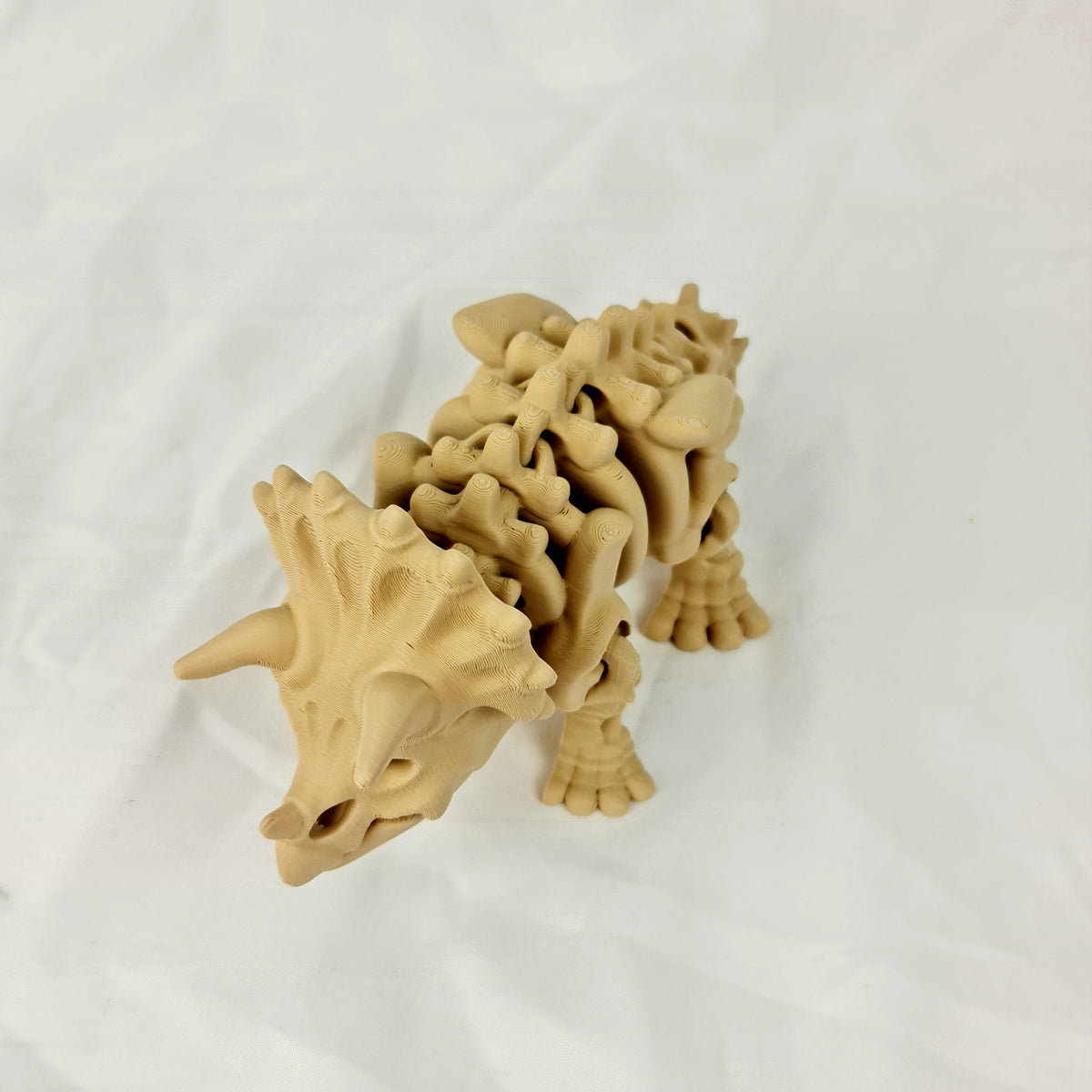 Schuin bovenaanzicht van de skelet triceratops met duidelijk zicht op de drie hoorns en ruggengraat.