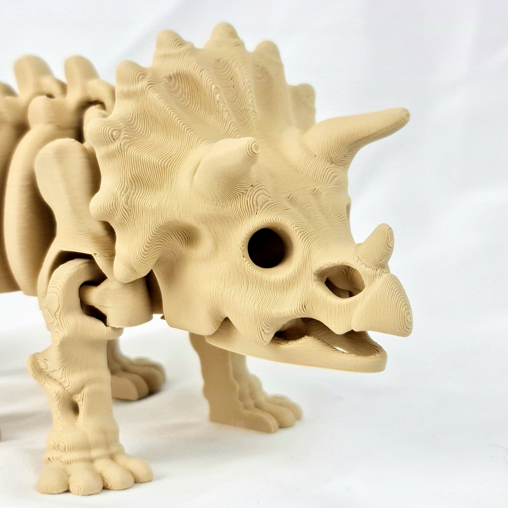 Close-up van de gedetailleerde schedel, oogkassen en hoorns van de beige skelet triceratops.