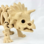 Close-up van de gedetailleerde schedel, oogkassen en hoorns van de beige skelet triceratops.