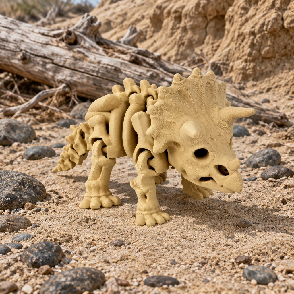 Schuin vooraanzicht van de buigzame beige skelet triceratops staand op een neutrale ondergrond.