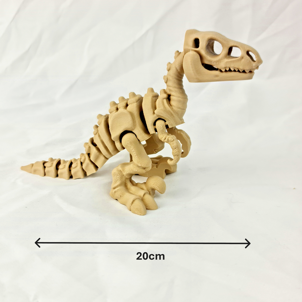 Zijaanzicht van de flexibele beige skelet velociraptor met maataanduidingen in centimeters.