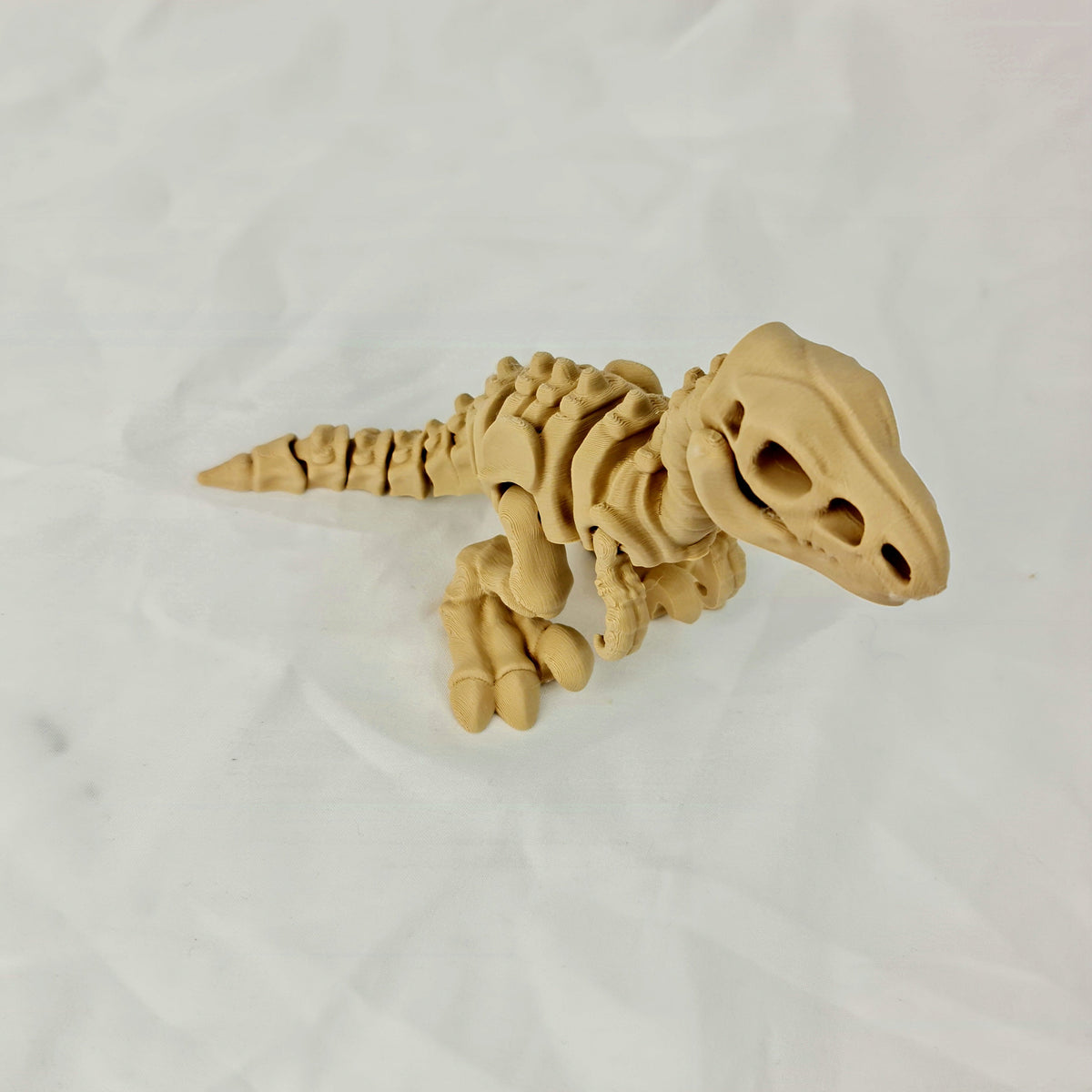 Schuin bovenaanzicht van de skelet velociraptor rustend op een witte achtergrond.