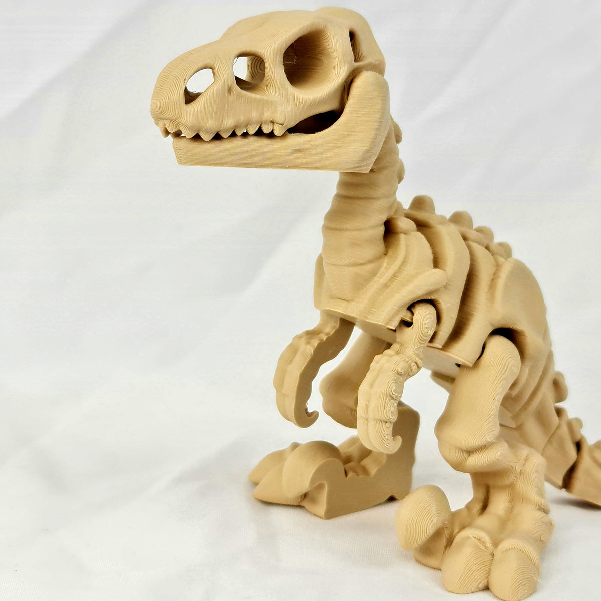 Close-up van de gedetailleerde schedel en scherpe tanden van de beige skelet velociraptor.
