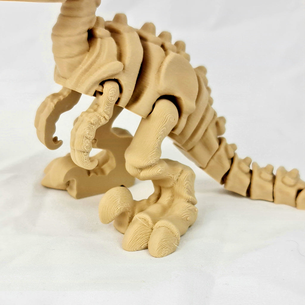 Detailopname van de gearticuleerde pootjes en de borstkas van de beige skelet velociraptor.