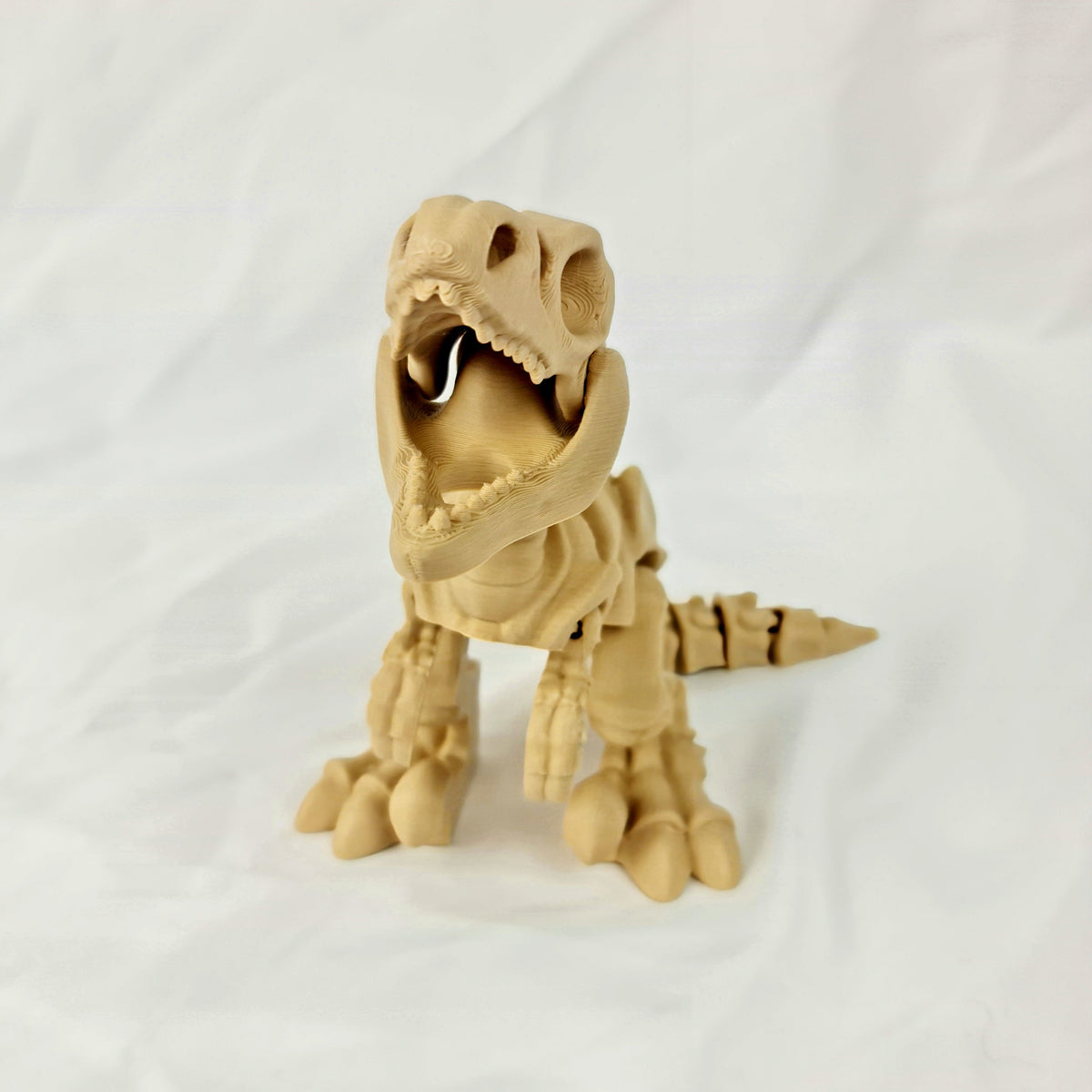 Recht vooraanzicht van de beige 3D-geprinte skelet velociraptor met geopende bek.