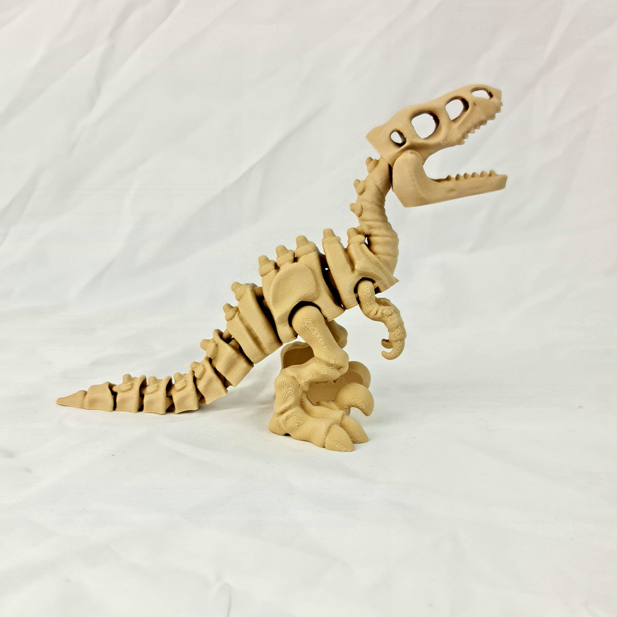 Volledig zijaanzicht van de beige 3D-geprinte skelet velociraptor met zicht op de scharnierende ruggengraat.