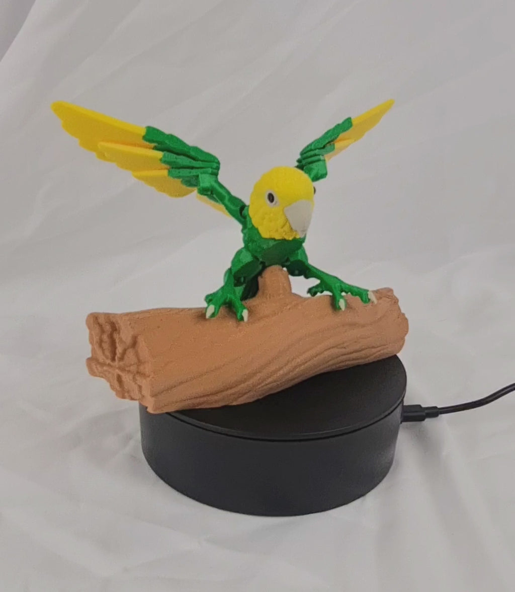 3D-geprinte dwergpapegaai op een bruine standaard geplaatst op een zwart elektrisch draaiplateau