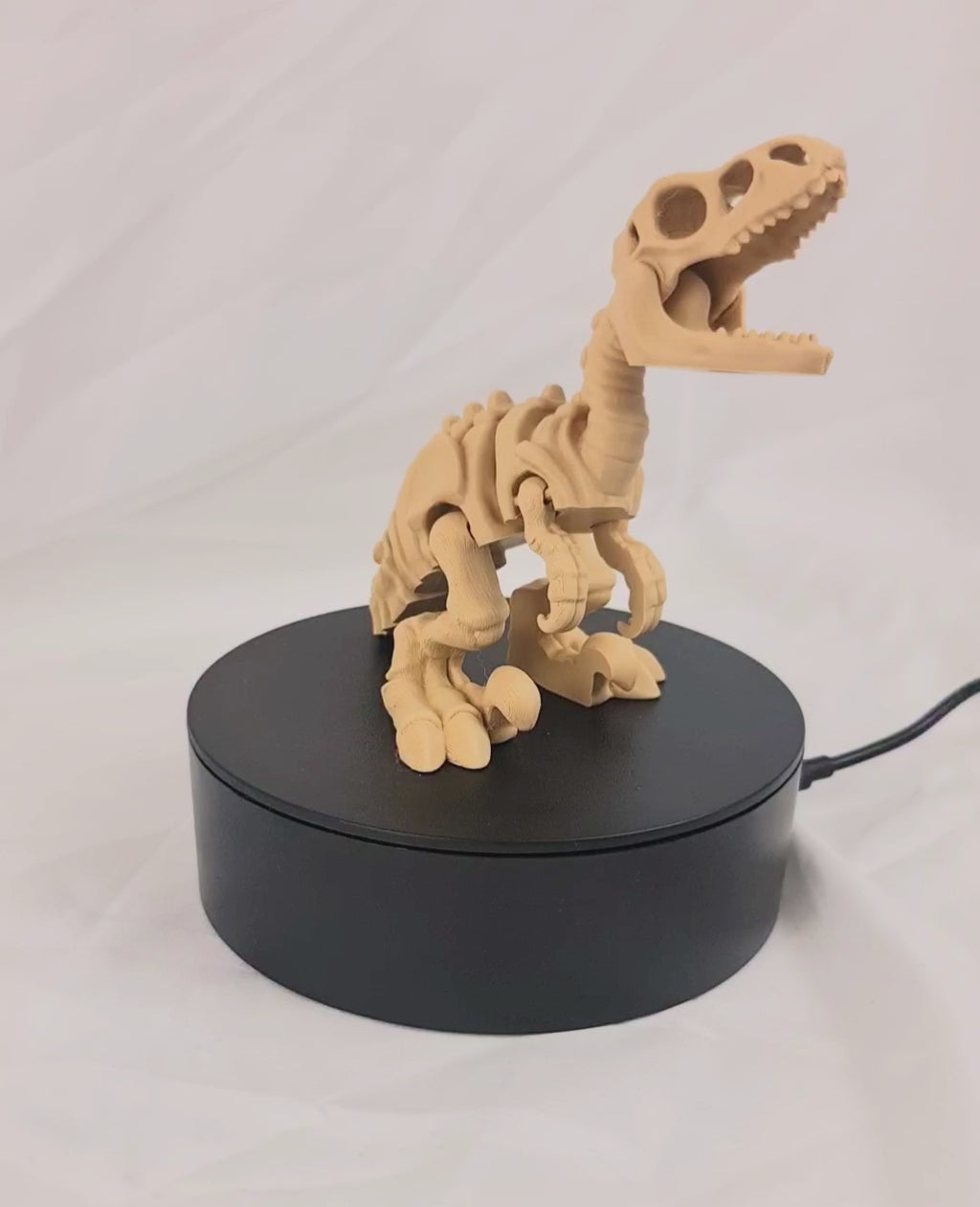 Video van de beige 3D-geprinte skelet velociraptor op een roterend displayplatform.