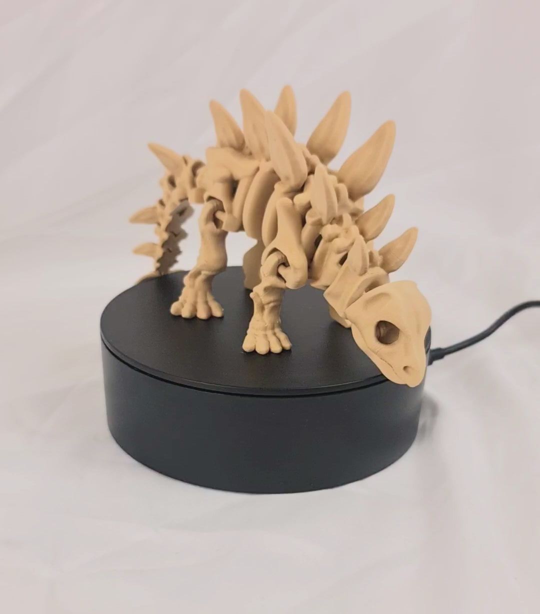 Video van de beige 3D-geprinte skelet stegosaurus op een roterend displayplatform.