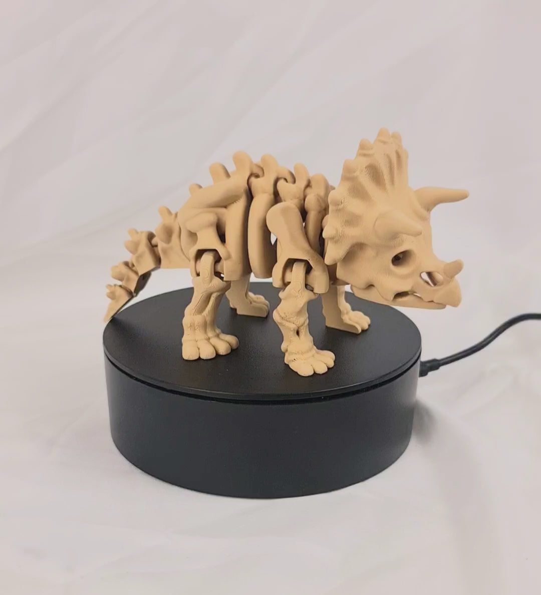 Video van de beige 3D-geprinte skelet triceratops op een roterend displayplatform.